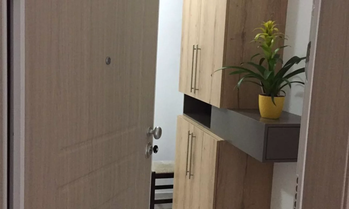 Apartment for rent in Tirana 1+1, Furnished