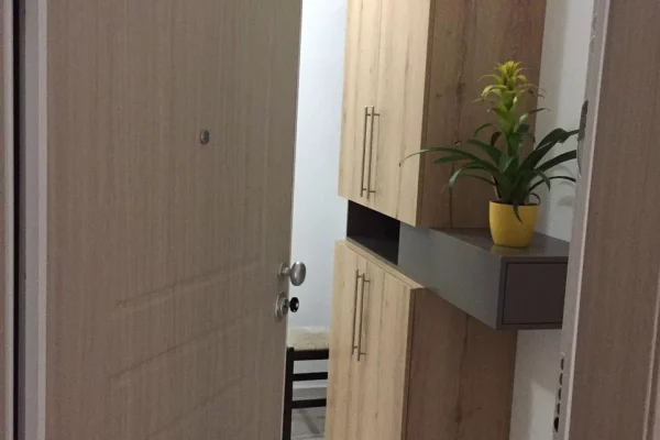 House for Rent 1+1 in Tirana - 60,000 Leke