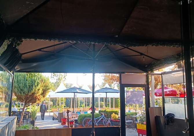 Ambient biznesi me qera 2+1 ne Tirane - 50,000 Leke