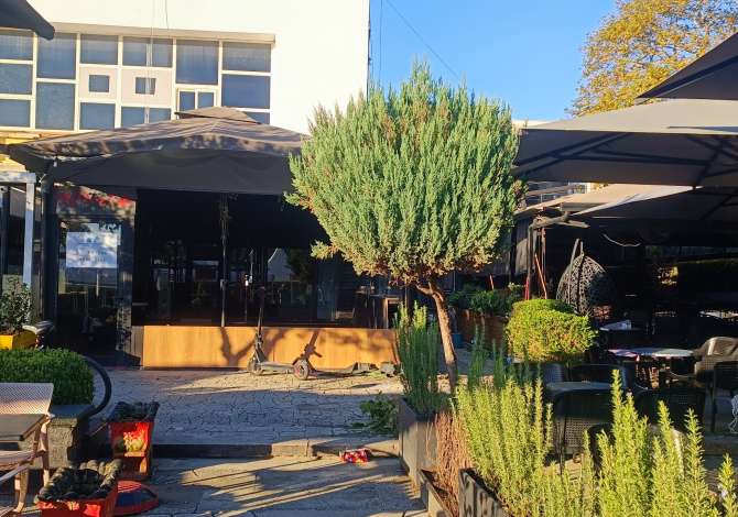 Ambient biznesi me qera 2+1 ne Tirane - 50,000 Leke