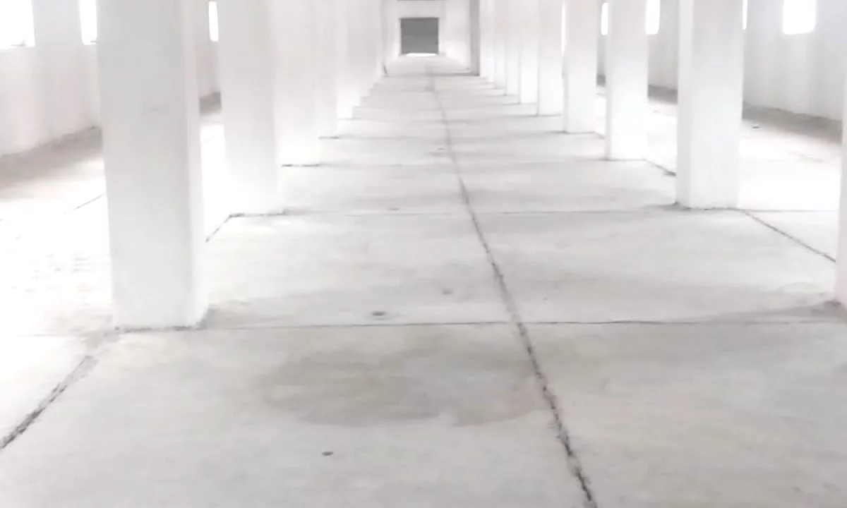 Zyra/Magazine Prane Kombinatit