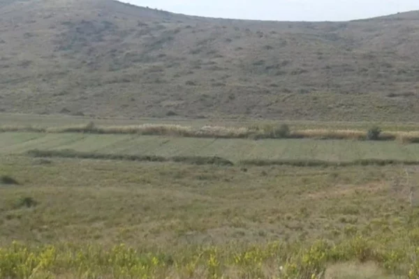 Land for Sale in Kavaja - 29,700,000 Leke