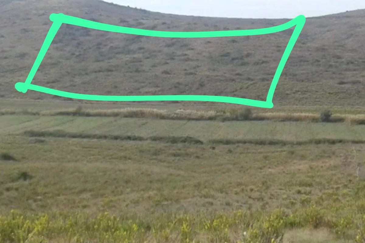 Shitet Toke ne Vilbashtove(kavaje)