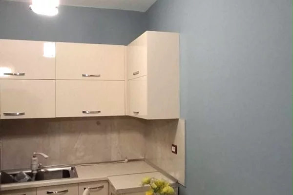 Shtepi me qera Apartament ne Tirane, 1+1, Mobilimi E mobiluar, Pagesa 45,000  Leke.