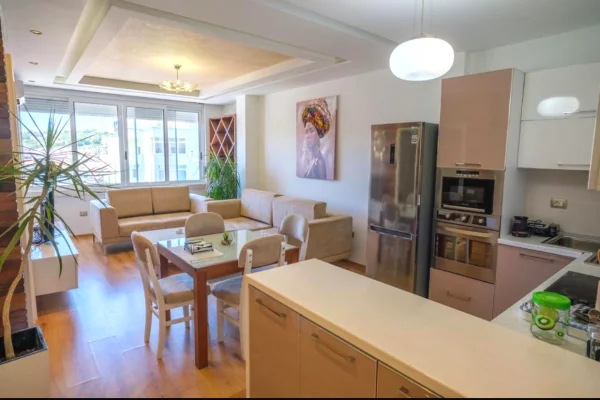 Shtepi me qera Apartament ne Tirane, 1+1, Mobilimi E mobiluar, Pagesa 300  Euro.