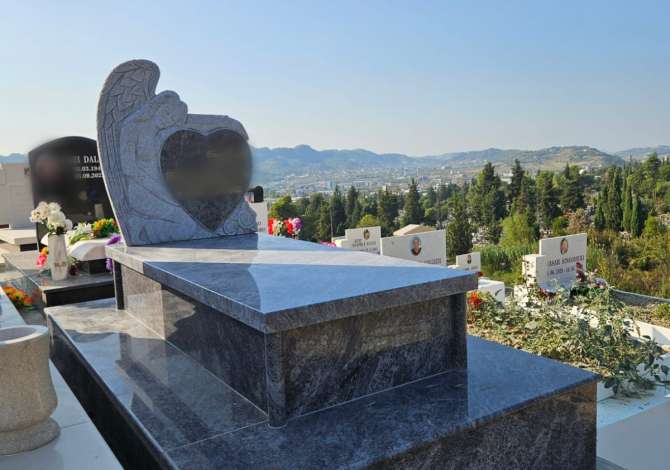 Construction and Restructurings in Tirana - 400 Euro