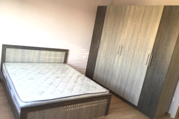 Shtepi me qera Apartament ne Tirane, 2+1, Mobilimi E mobiluar, Pagesa 40,000  Leke.