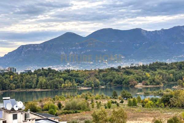 Shtepi me qera Apartament ne Tirane, 1+1, Mobilimi E mobiluar, Pagesa 750  Euro.