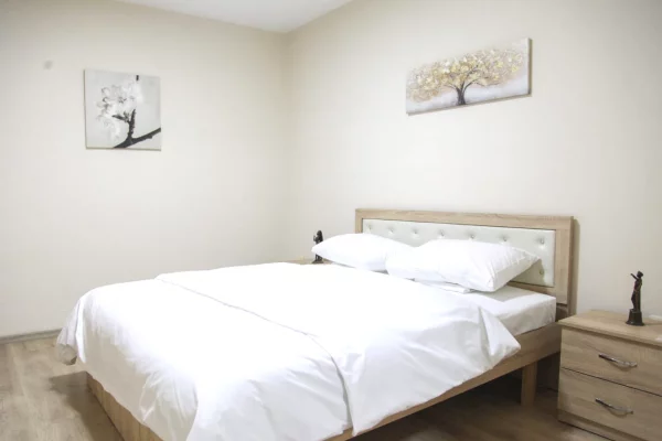 Shtepi me qera Apartament ne Tirane, 2+1, Mobilimi E mobiluar, Pagesa 57,000  Leke.