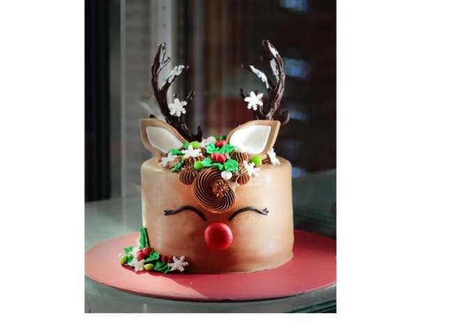 Offerte di lavoro a Tirana, Profession Shites/e , Sanitare  , , Pagamento Trattabile.