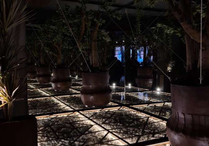 Offerte di lavoro a Tirana, Profession Kamarier/e / Banakier /e /Ndihmes Barist/Hostes /e / Sanitare/Lavapjatese , , Pagamento Trattabile.