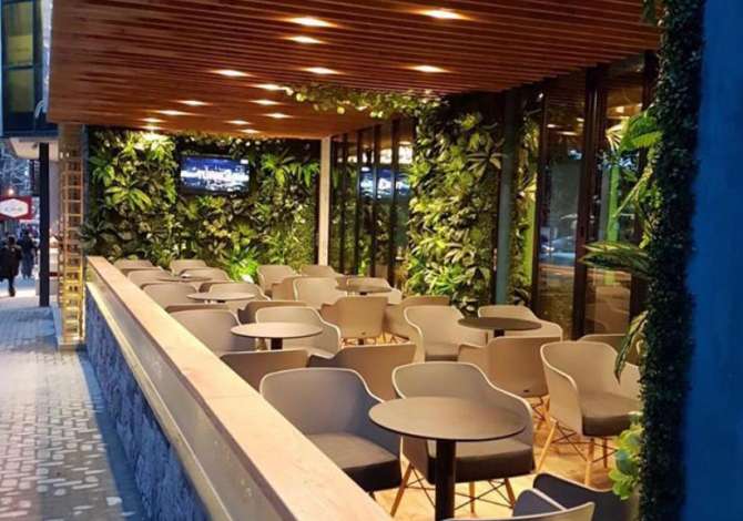 Offerte di lavoro a Tirana, Profession Kamarier/e /Banakier/e , , Pagamento Trattabile.