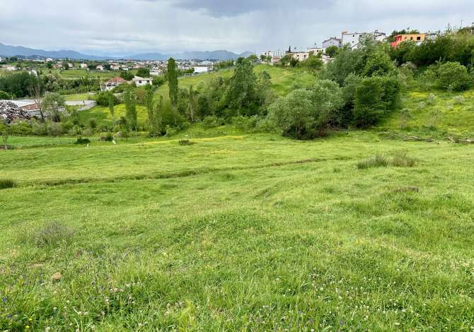 Shitet Toke ne Babrru