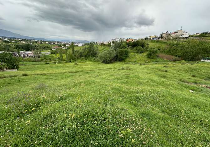 Shitet Toke ne Babrru