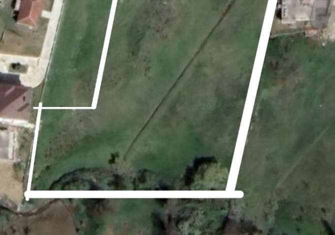 Shitet Toke ne Babrru