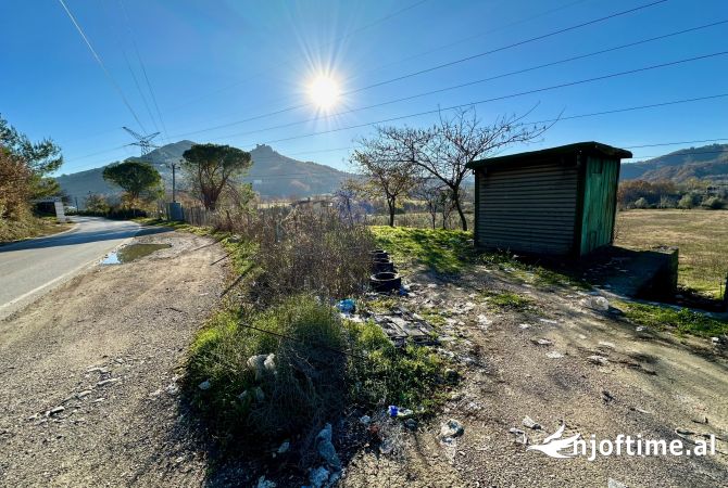 Shitet Toke ne Rr, Kryesore ne Petrele