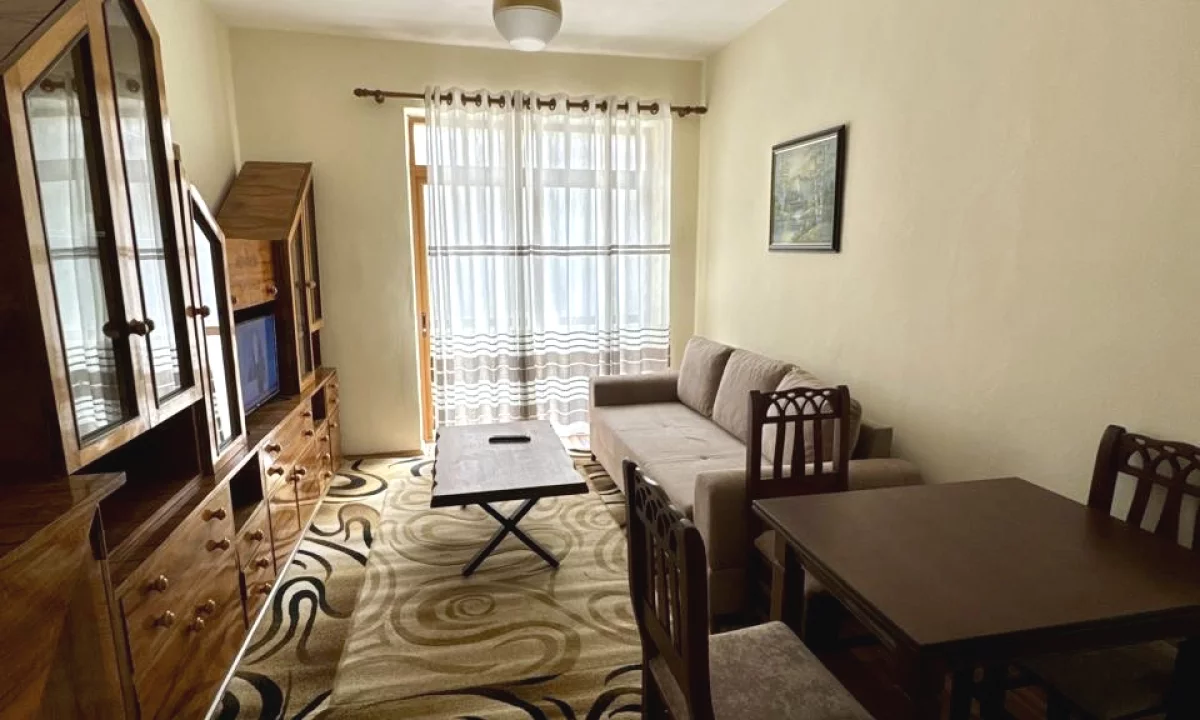 Shtepi me qera Apartament ne Tirane, 1+1, Mobilimi E mobiluar, Pagesa 55,000  Leke.