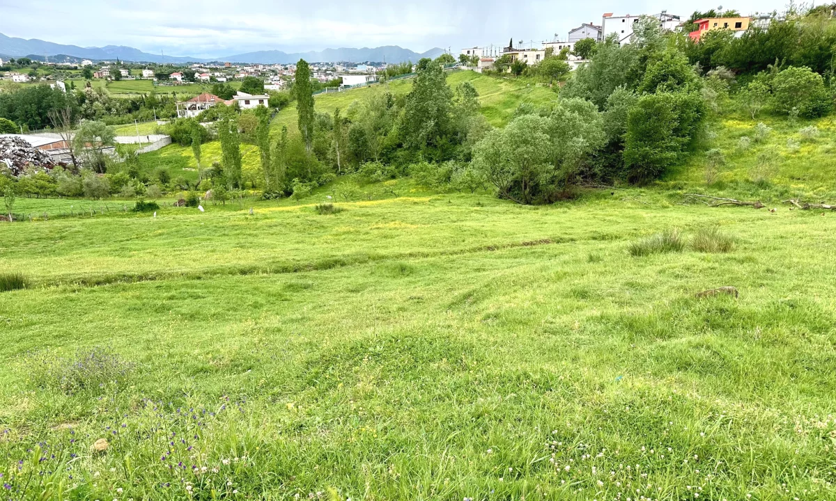 Shitet Toke ne Babrru