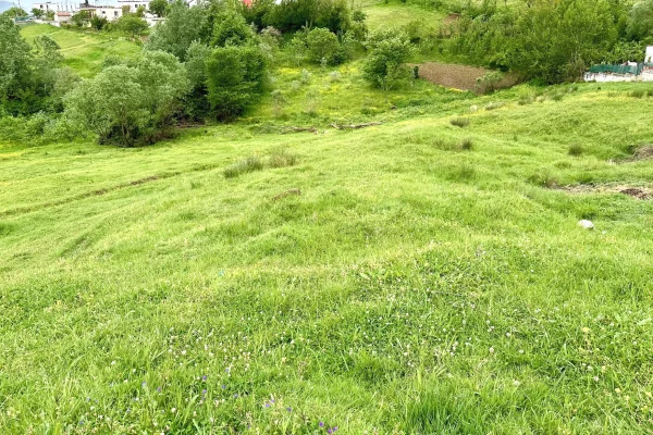 Truall ose Toke ne Tirane - 260,000 Euro