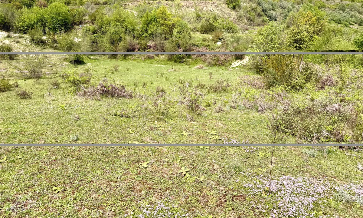 Shitet Toke ne Kus afer me Liqenin e Kusit