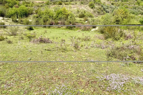 Truall ose Toke ne Tirane - 120,000 Euro