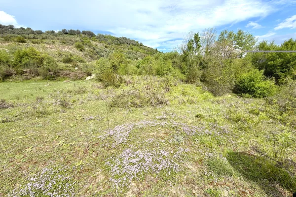 Truall ose Toke ne Tirane - 120,000 Euro