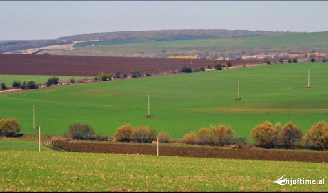 ⚡Jepet Toke me Qira – ne Mezez🌍 3000 m2*---