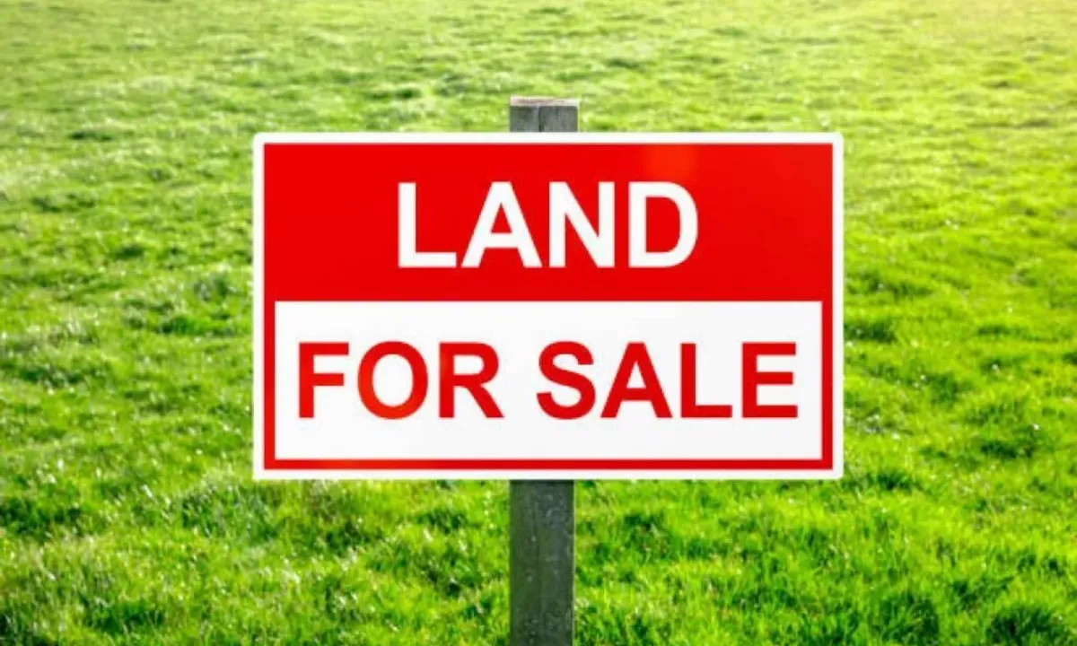 🔑SHITET TOKE 3000 m2 – VIJE E PARE, TE TOP CHANNEL ,,/..