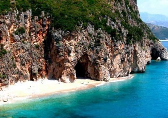 Sherbime Udhetimi dhe Transporti ne Vlore - 2,000 Leke