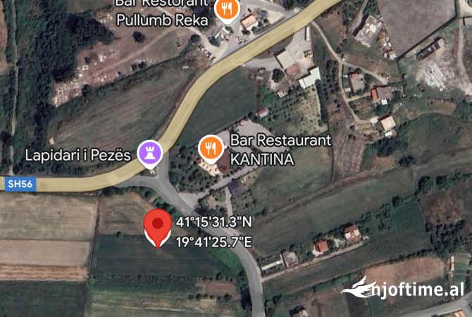 ‼️Shitet Toke ne Peze , prane Lapidarit‼️