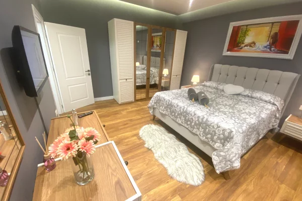 Shtepi me qera Apartament ne Tirane, 1+1, Mobilimi E mobiluar, Pagesa 650  Euro.