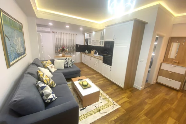 Shtepi me qera Apartament ne Tirane, 1+1, Mobilimi E mobiluar, Pagesa 650  Euro.