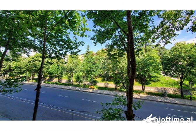 Ambiente Commerciale in Affitto 3+1 a Tirana - 1,000 Euro