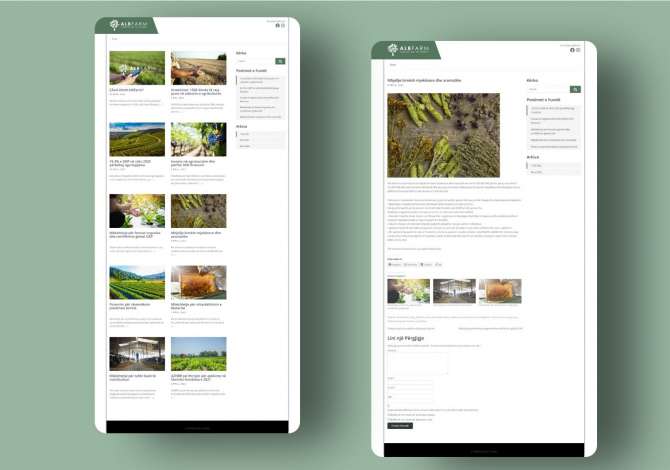 Servizi di IT e di marketing a Tirana - 250 Euro