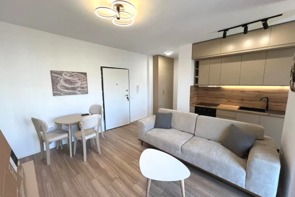 House for Rent 1+1 in Tirana - 60,000 Leke