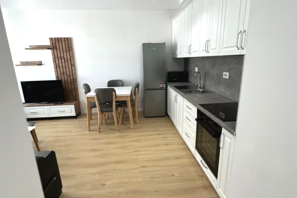 Shtepi me qera Apartament ne Tirane, 1+1, Mobilimi E mobiluar, Pagesa 40,000  Leke.