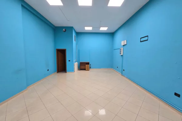 Business Property for Rent 3+1 in Tirana - 600 Euro