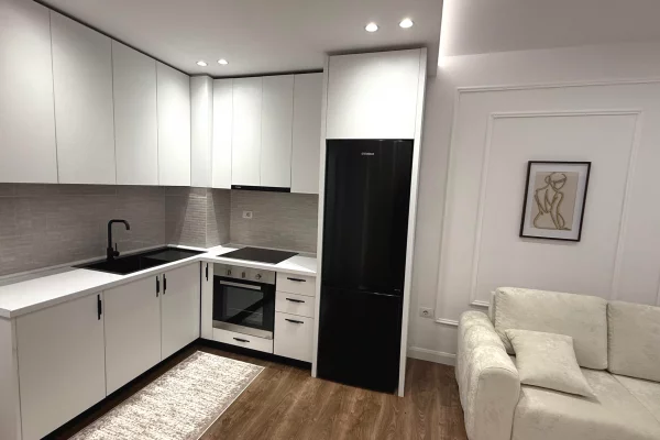 Shtepi me qera Apartament ne Tirane, 1+1, Mobilimi E mobiluar, Pagesa 500  Euro.