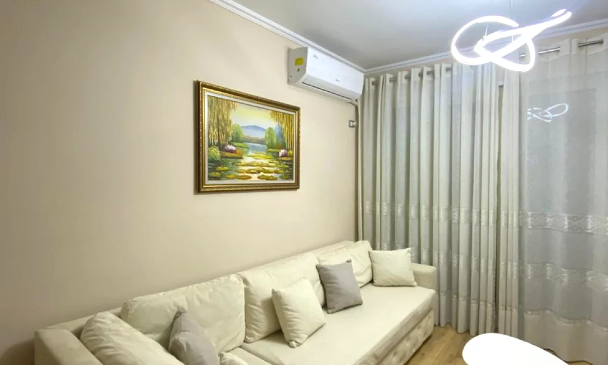 Shtepi me qera Apartament ne Tirane, 1+1, Mobilimi E mobiluar, Pagesa 520  Euro.