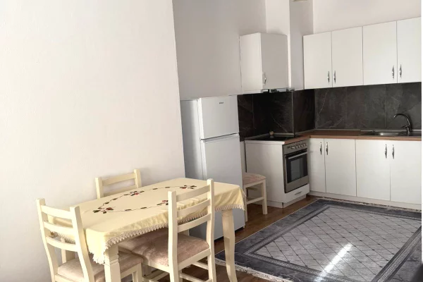 House for Rent 1+1 in Tirana - 480 Euro