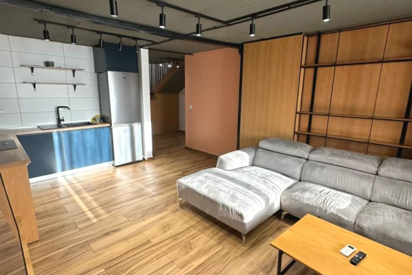 Shtepi ne shitje Duplex(shtepi me 2 kate) ne Tirane, 2+1, Mobilimi E mobiluar, Pagesa 170,000  Euro.