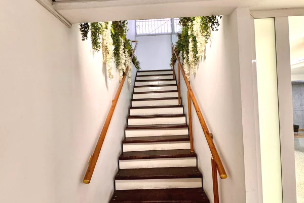 📌Ambient Biznesi me Qira – Dupleks