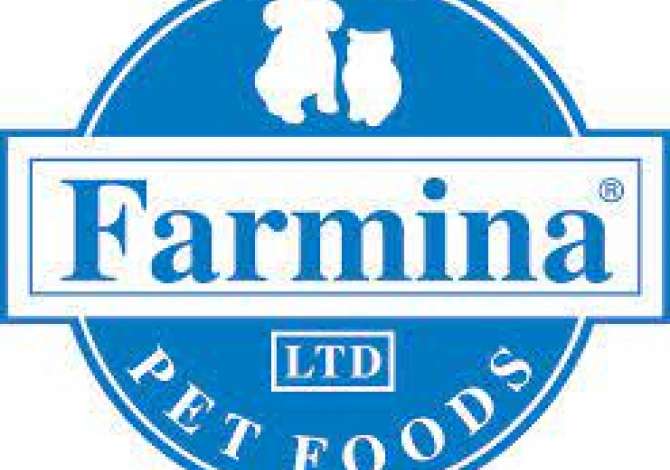 Offerte di lavoro a Tirana, Profession Shitese , , Pagamento Trattabile.