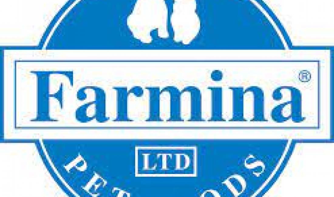 Offerte di lavoro a Tirana, Profession Shitese , , Pagamento Trattabile.