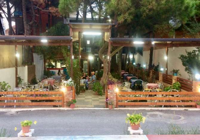 Offerte di lavoro per Kuzhinier/e a Scutari