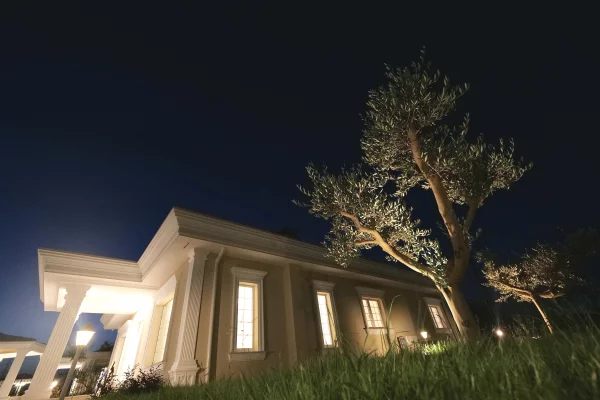 Shtepi ne shitje Vila Luksoze ne Kavaje, 3+1, Mobilimi Pjeserisht e mobiluar, Pagesa 315,000  Euro.