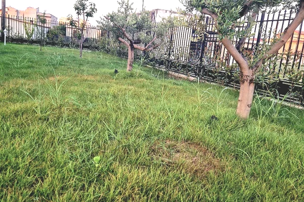 Shtepi ne shitje Vila Luksoze ne Kavaje, 3+1, Mobilimi Pjeserisht e mobiluar, Pagesa 315,000  Euro.