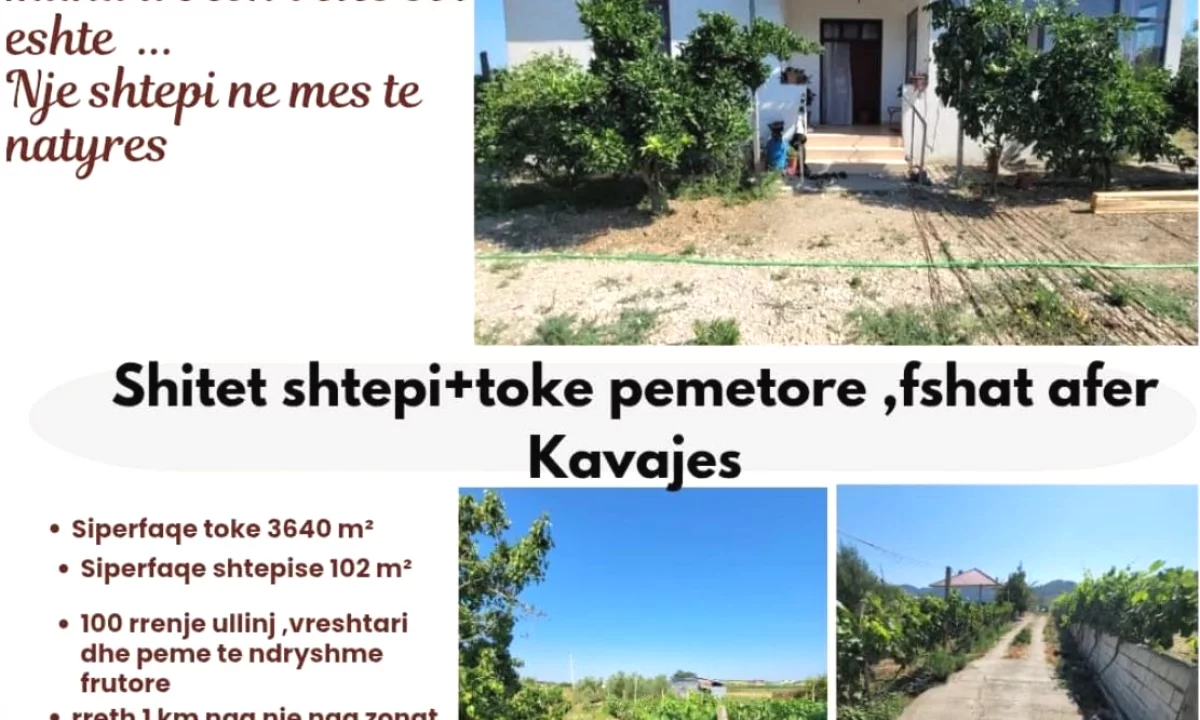 Shtepi ne shitje Shtepi Private ne Kavaje, 2+1, Mobilimi E mobiluar, Pagesa 115,000  Euro.