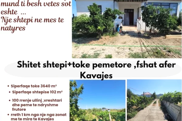 Shtepi ne shitje 2+1 ne Kavaje - 115,000 Euro