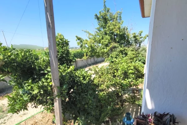 Shtepi ne shitje Shtepi Private ne Kavaje, 2+1, Mobilimi E mobiluar, Pagesa 115,000  Euro.
